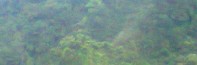 js_didiq's profile banner image