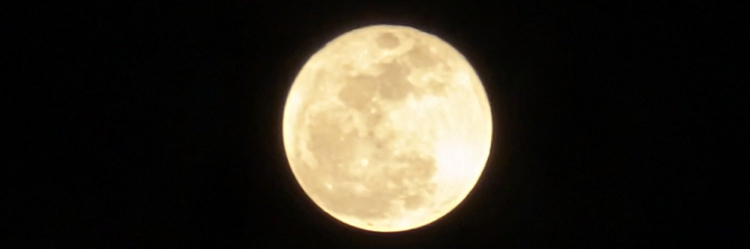 willow_ashy's profile banner image