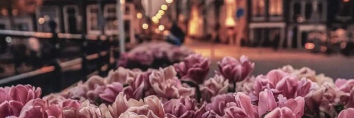 sa3ha3r's profile banner image