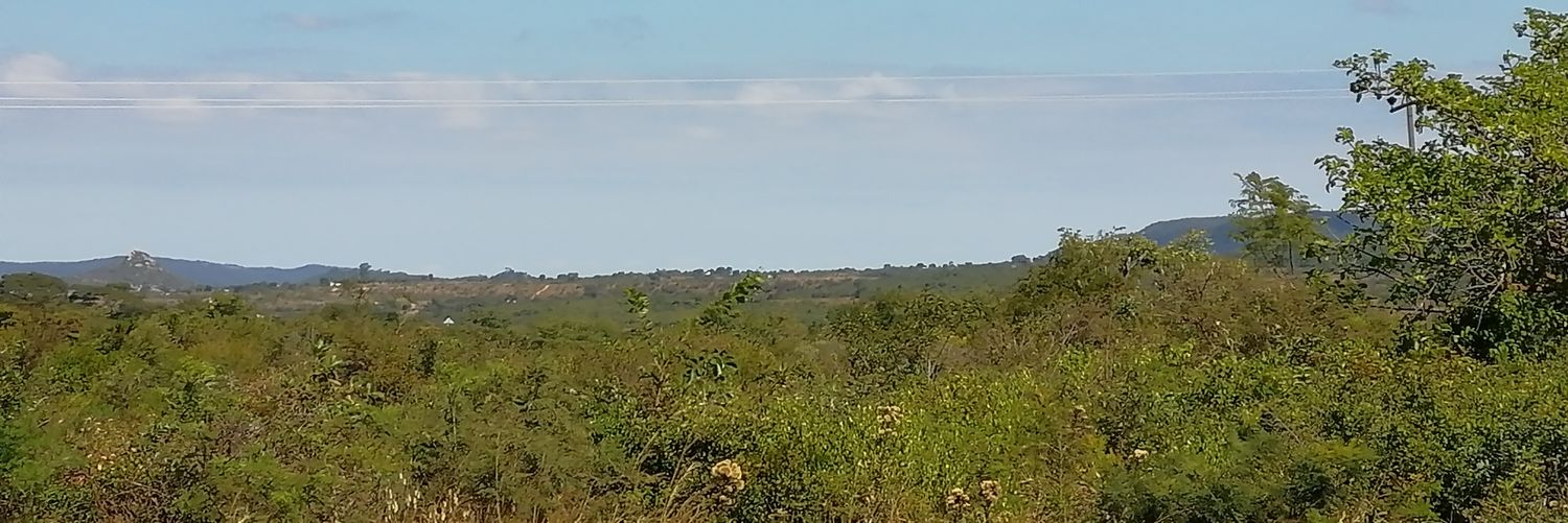 Tinaye A Chinhenzva banner