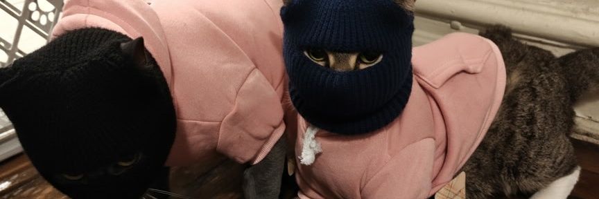 NotDreiari's profile banner image
