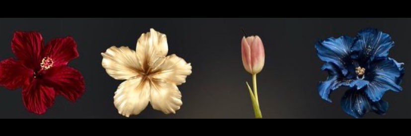 ayseeozkull's profile banner image
