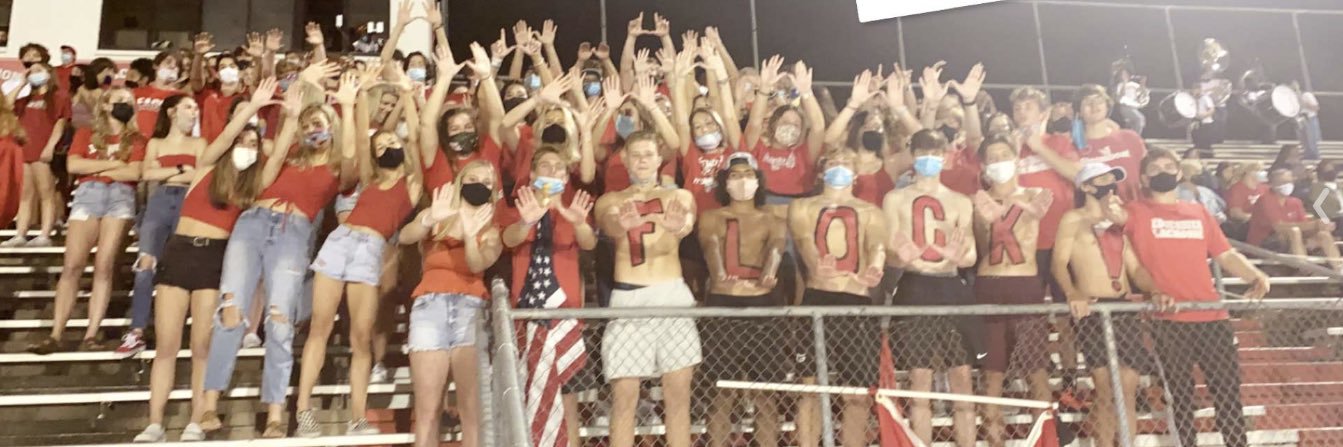 EHSflock's profile banner image