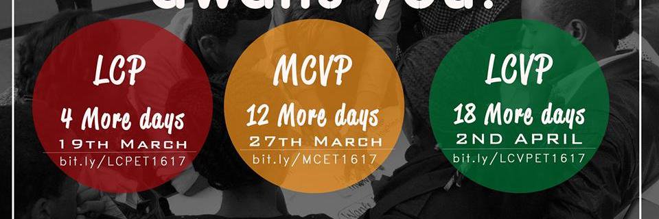 Hiwote Negash_hiwi banner