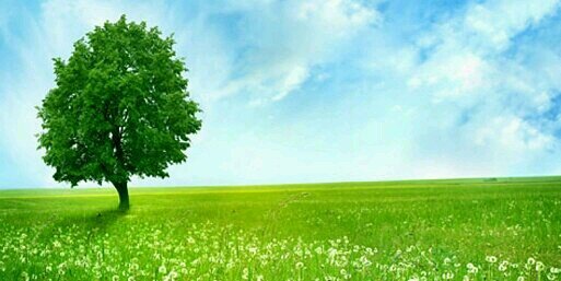 star_589's profile banner image