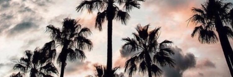 arypan_trisma's profile banner image