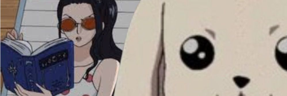 Digi's banner