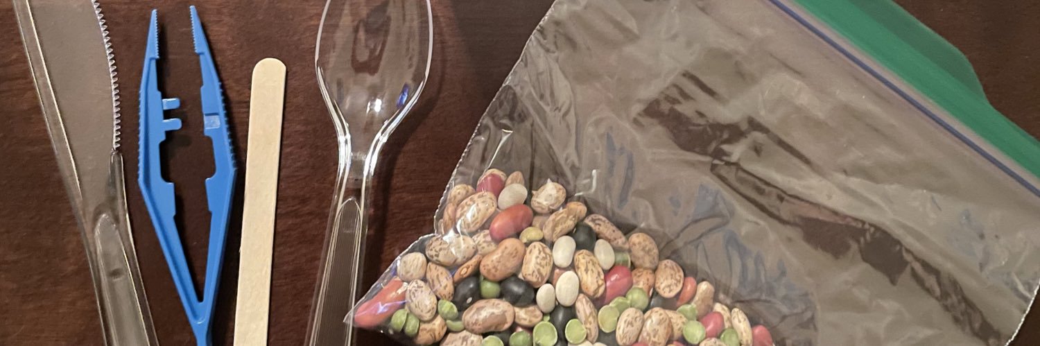 Anne Rizzacasa banner