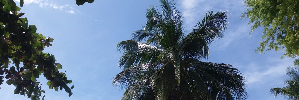 Alom7S's profile banner image