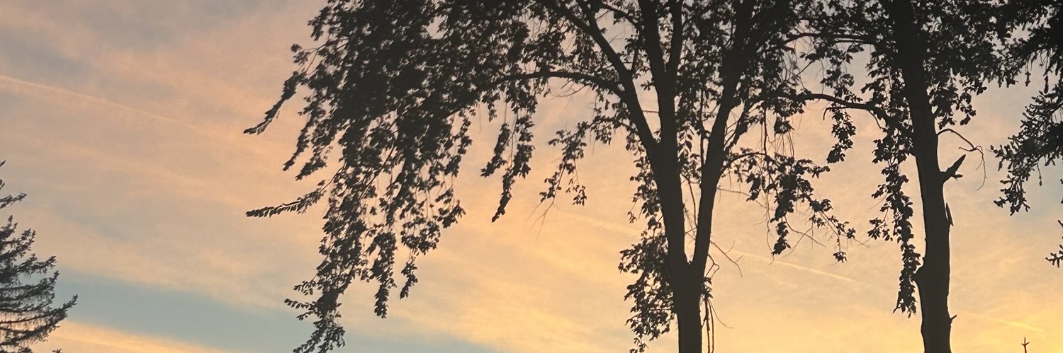 baileycarlinn's profile banner image