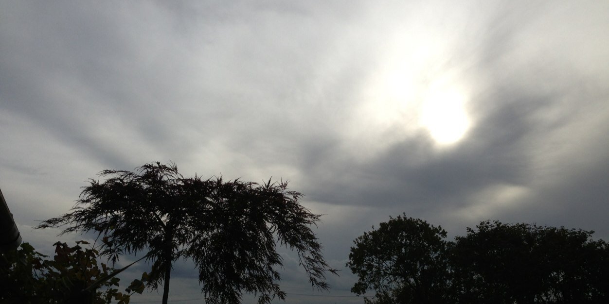 Titia Korff advocaat banner