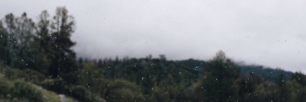 eststp's profile banner image