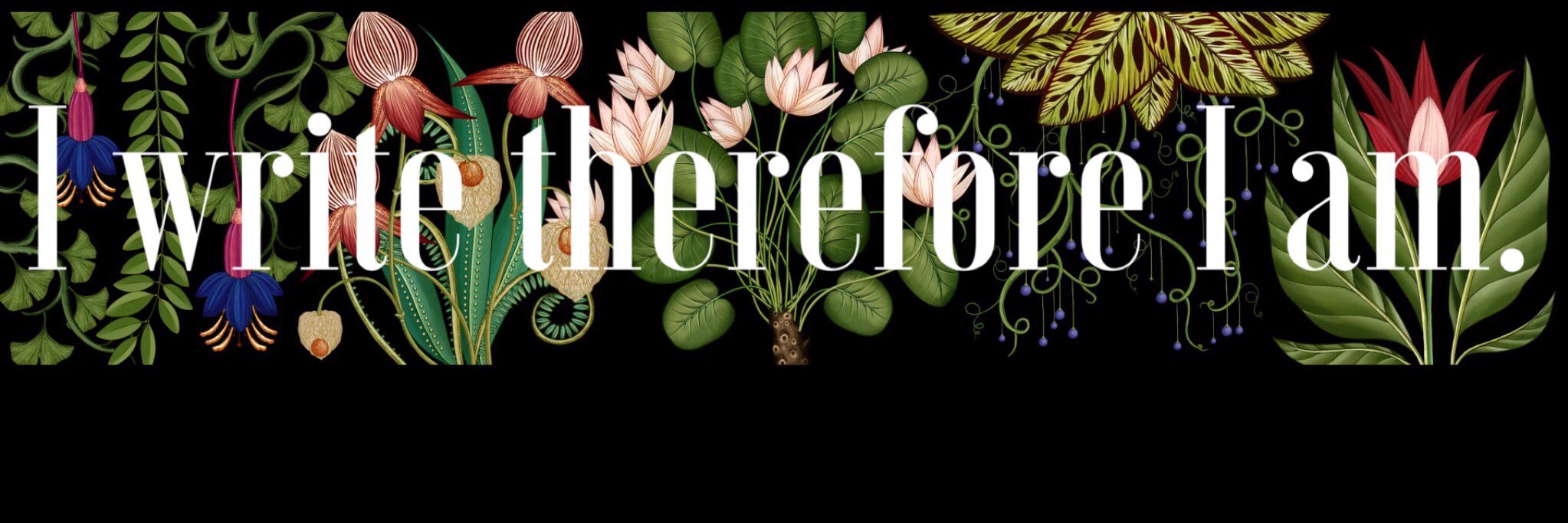 cherycarli's profile banner image