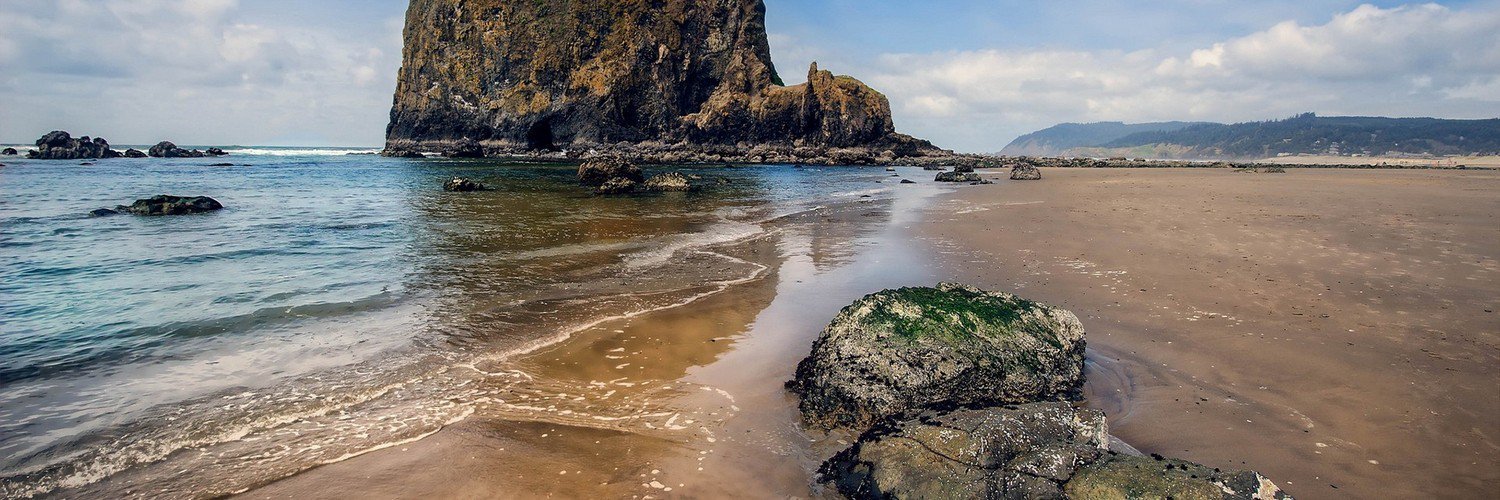 Lana Shevchenko banner