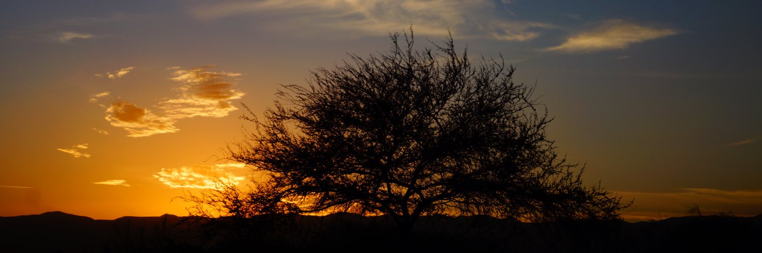 LuisCastrellon's profile banner image