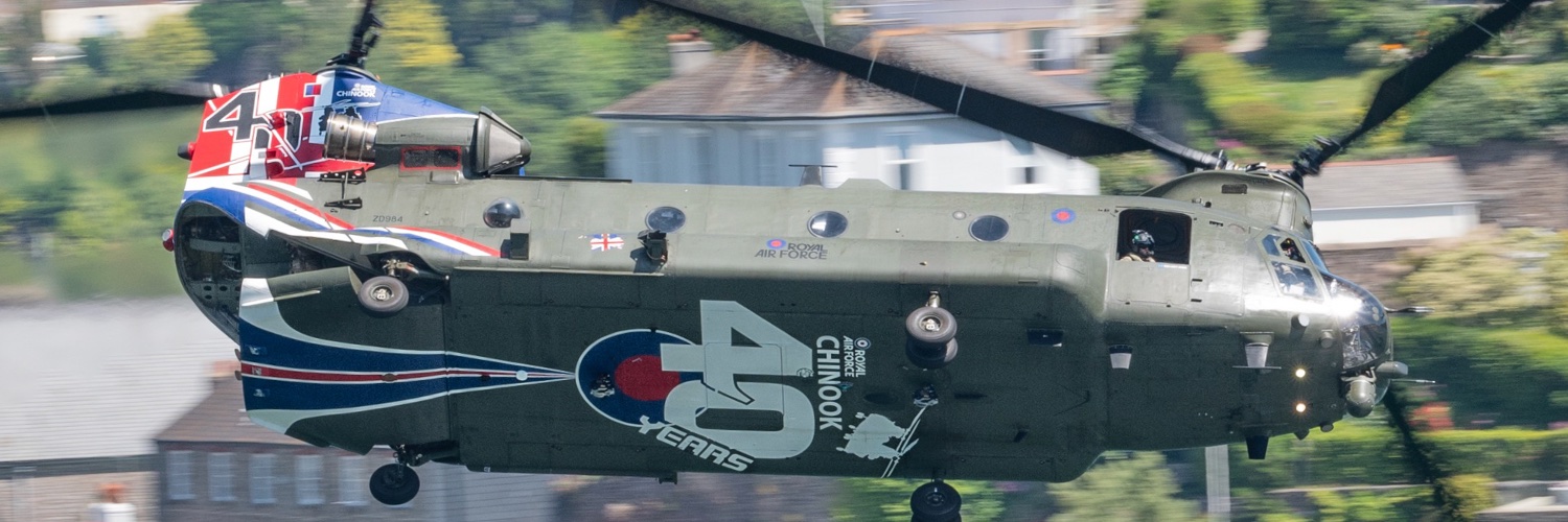 DavidBownPics banner