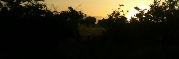 _187mumof3 Profile Banner