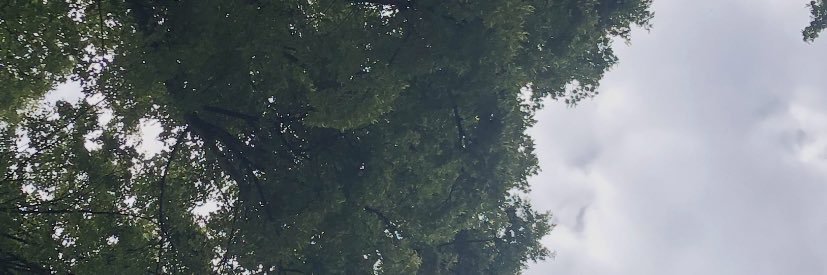 Kathy Witkowski banner