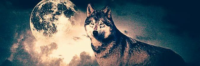 ACARMiharbiacar's profile banner image