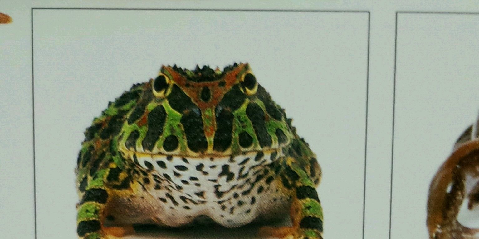 keito0429's profile banner image