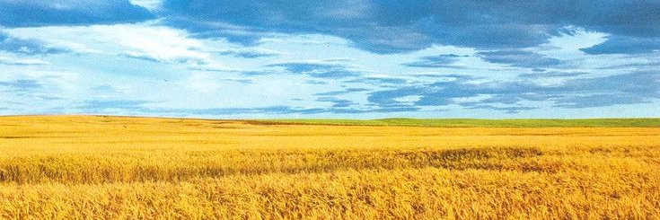 方便咗系列 banner