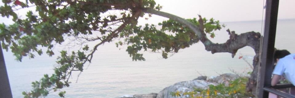 OCMel1's profile banner image