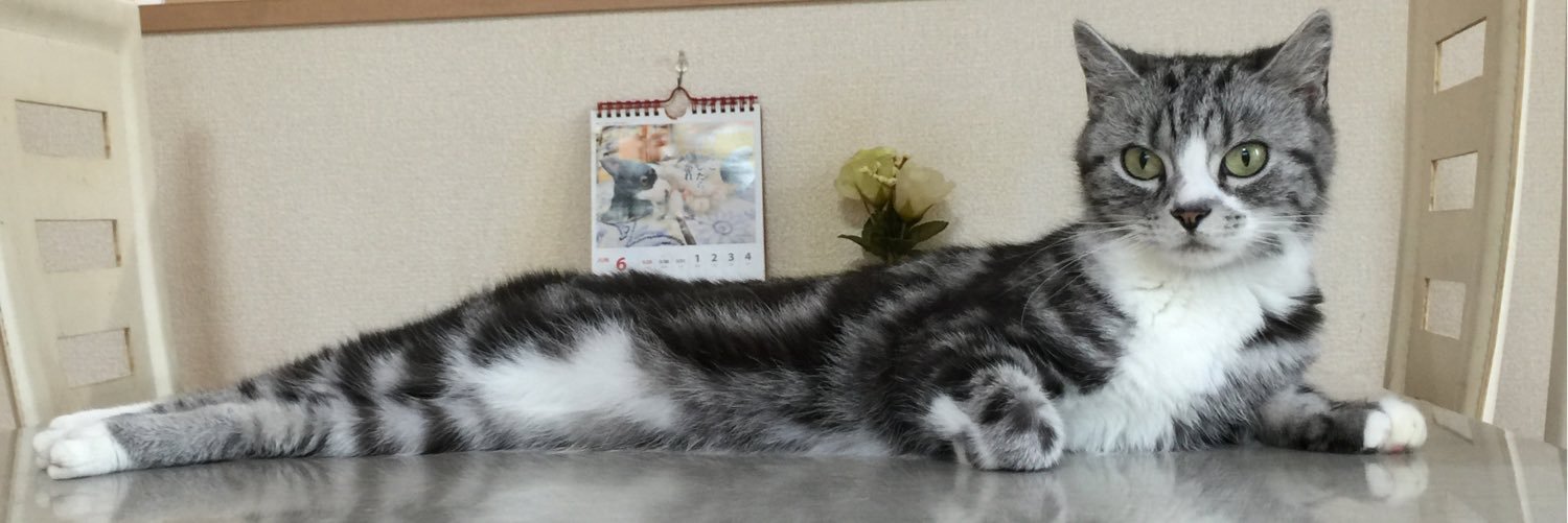 ミヤオ's banner