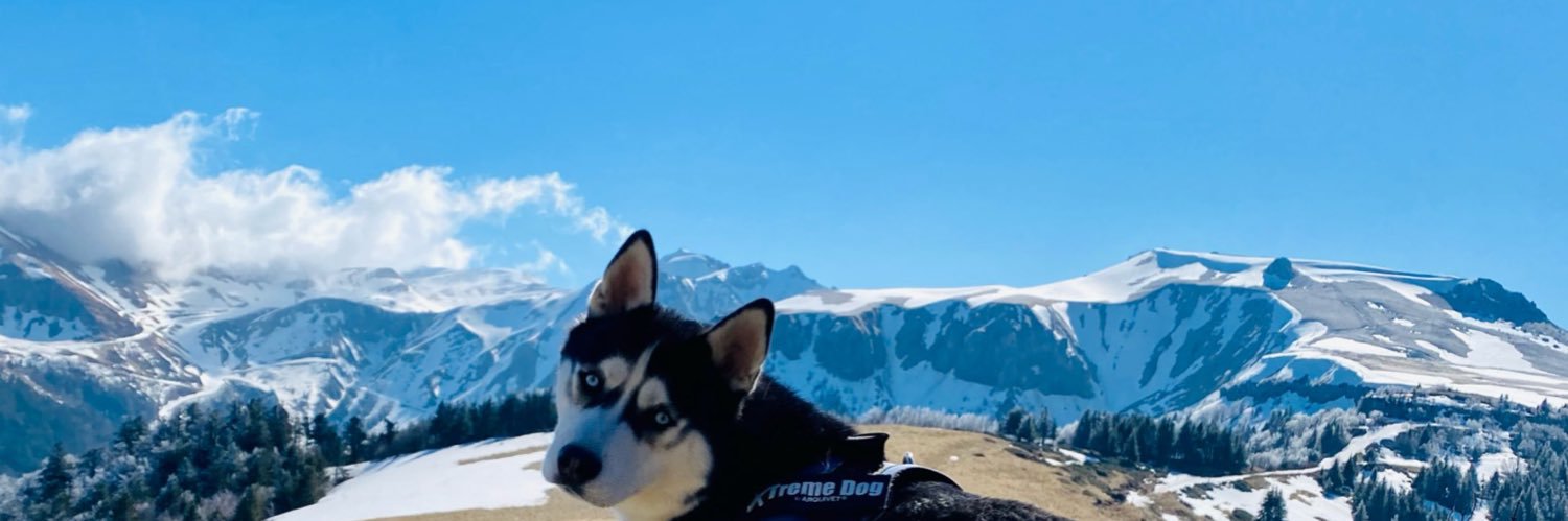 leagrb's profile banner image