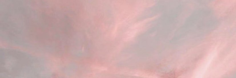 Taylorpfaff_'s profile banner image