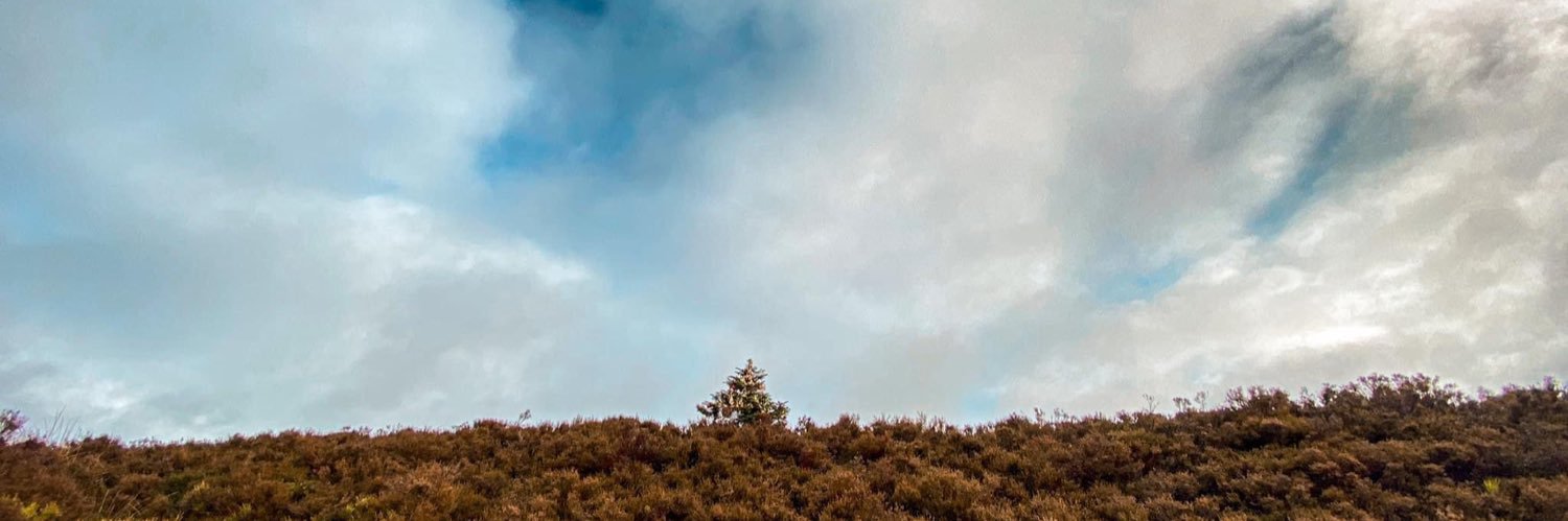 solongnorman's profile banner image