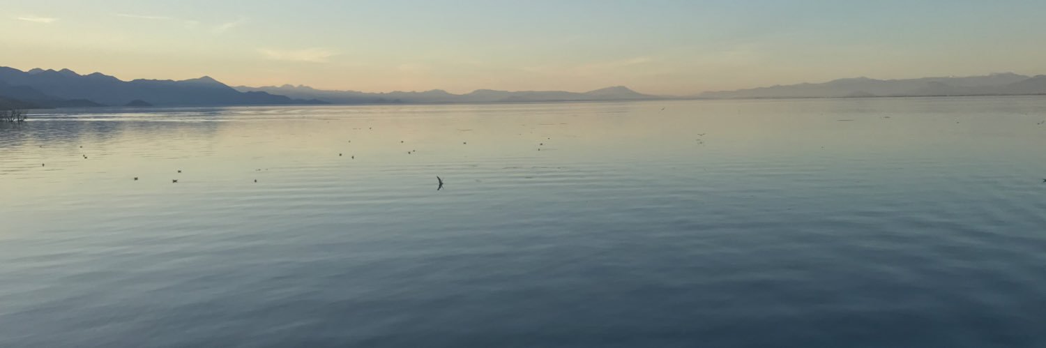 MarioCurcija's profile banner image