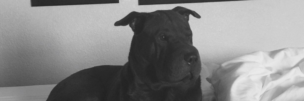 Kassemc's profile banner image