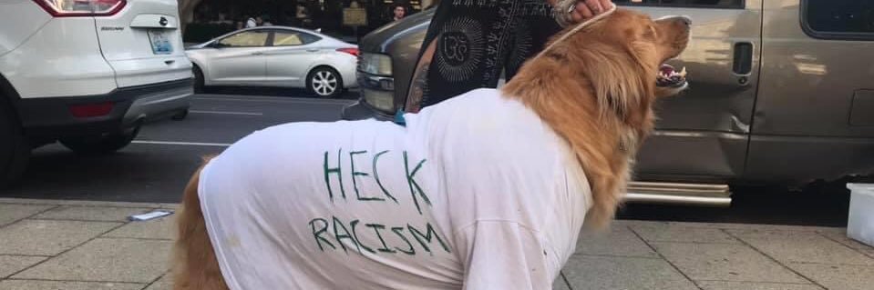 Nathaniel McCloskey banner