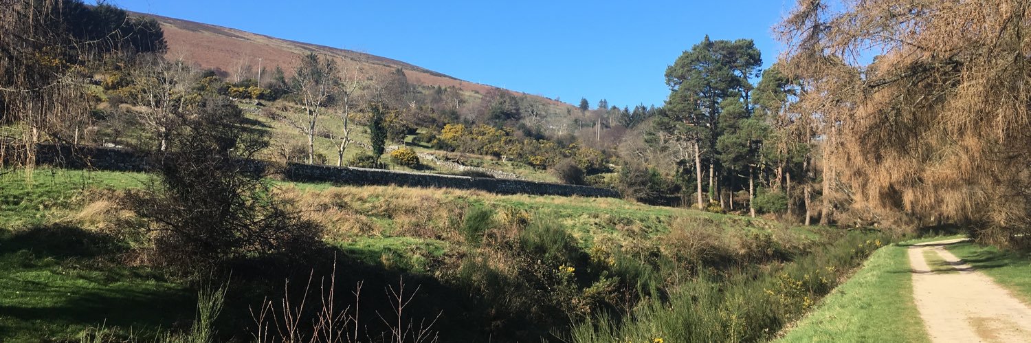 ProudIrishman's profile banner image