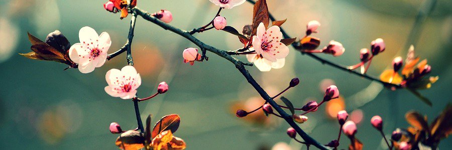 PamperParcels's profile banner image