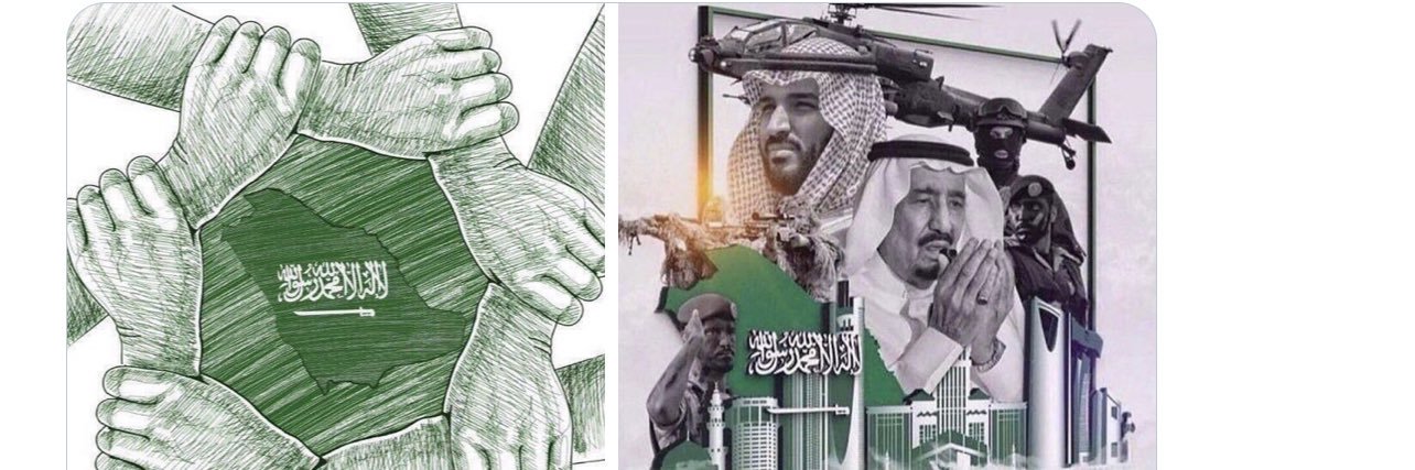 ناصر بن ثنيان banner