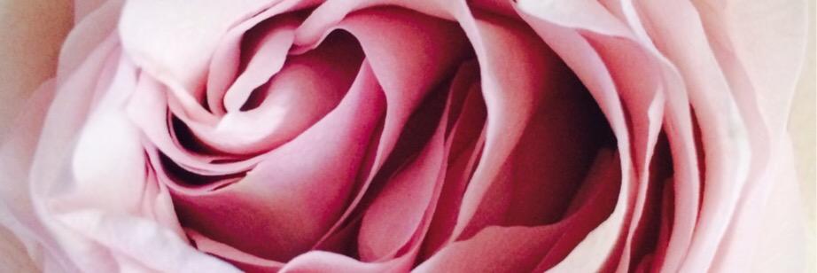 gulbinyaz's profile banner image