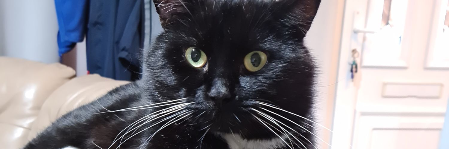 lilsue92's profile banner image