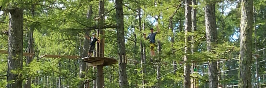 EcoDunn's profile banner image
