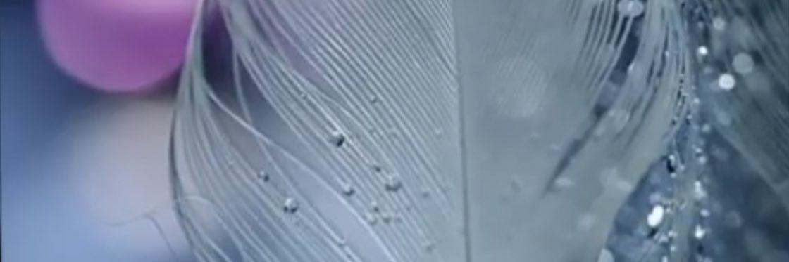ranadah266's profile banner image