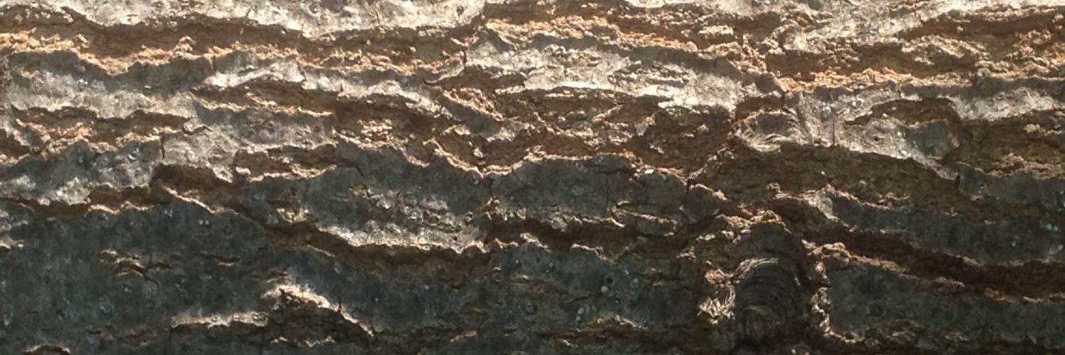 ROWintegrity's profile banner image