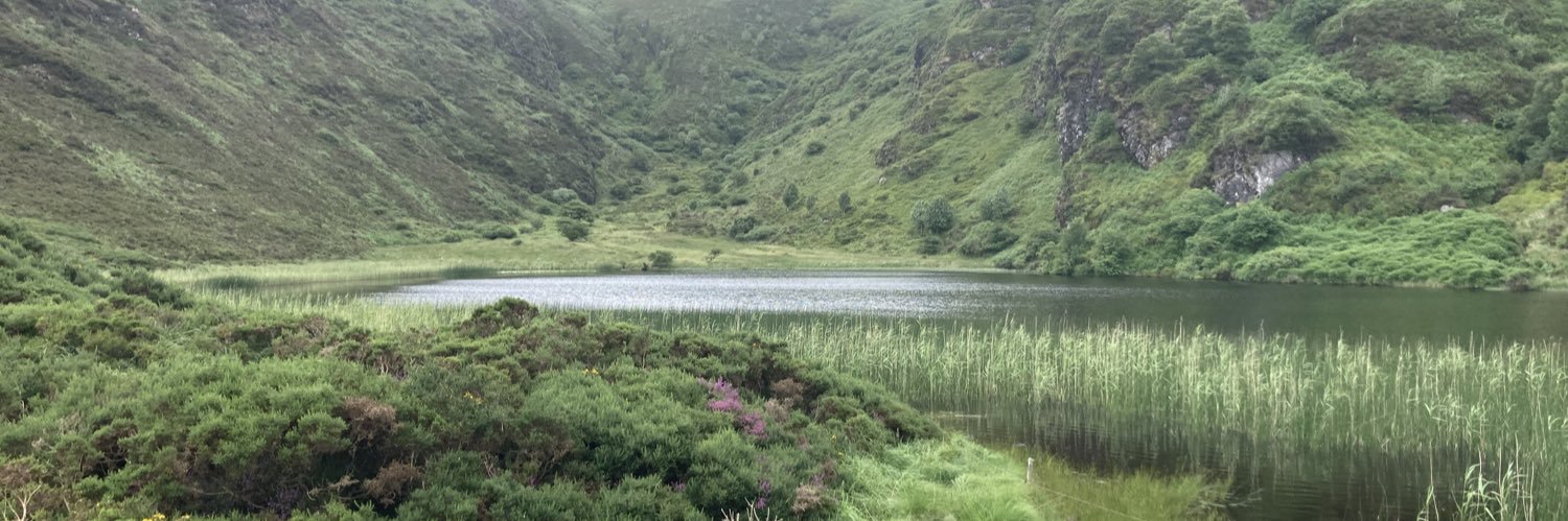 Liz O' Sullivan banner