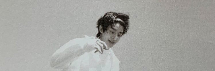 dolphininoasis's profile banner image