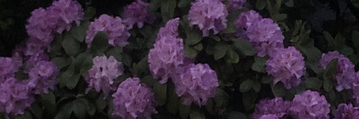 cx_rina's profile banner image
