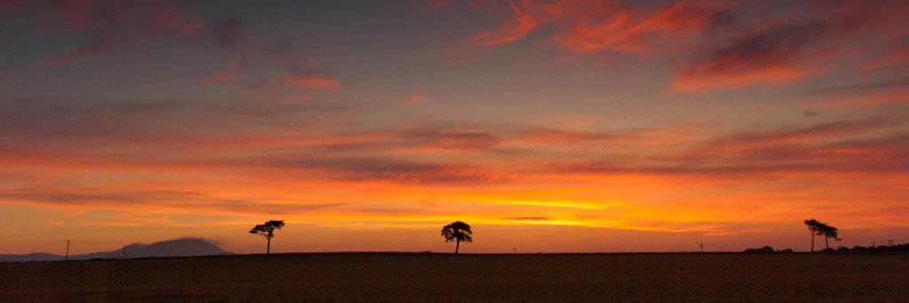 Ruari C♠rmack banner