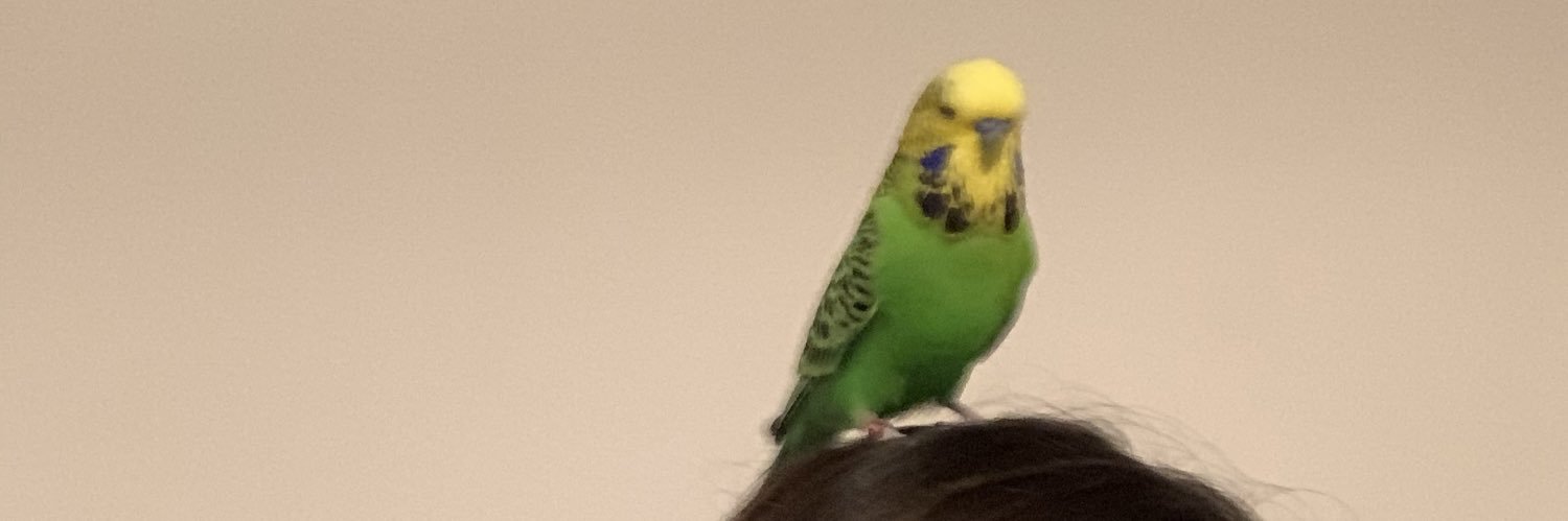IdilUtkusoy's profile banner image