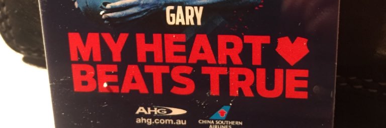 gary hayward banner