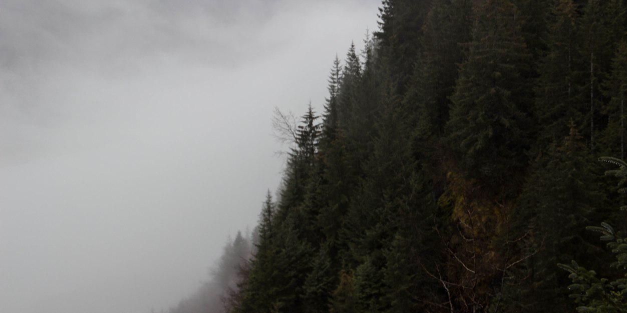 wildchildcompny's profile banner image