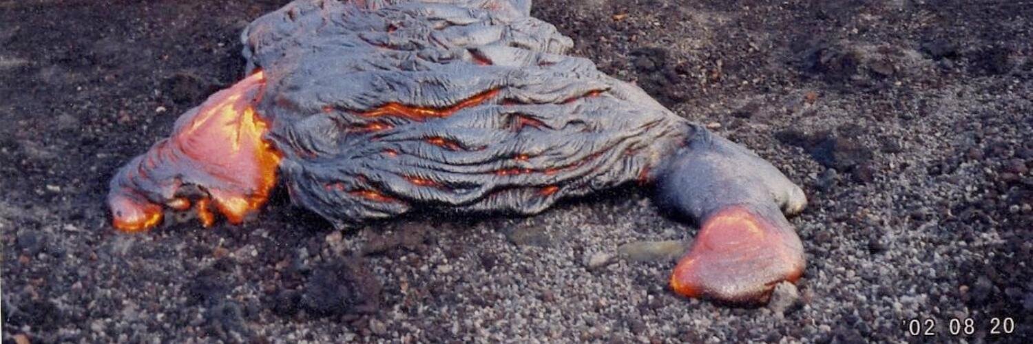 Dr Rebecca Williams banner