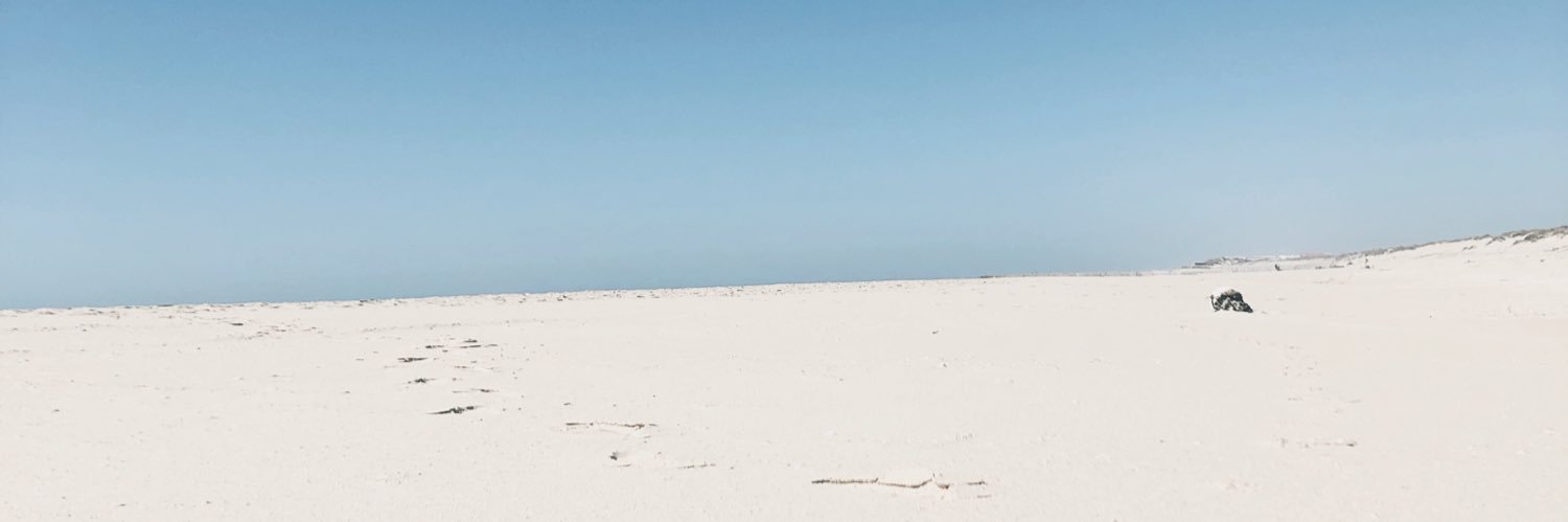 ostrolopiteco's profile banner image